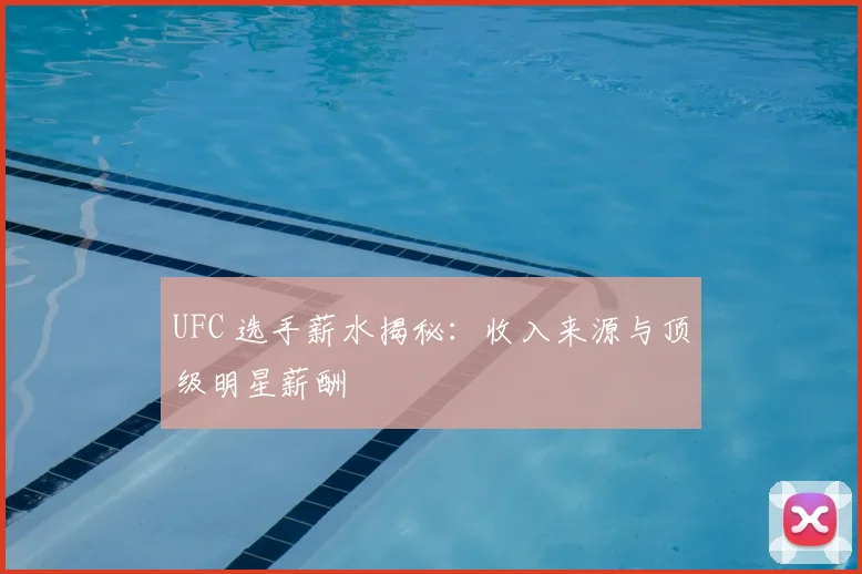 UFC 选手薪水揭秘：收入来源与顶级明星薪酬