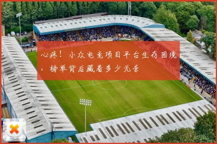 心疼！小众电竞项目平台生存困境，榜单背后藏着多少无奈