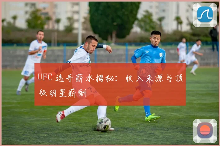 UFC 选手薪水揭秘:收入来源与顶级明星薪酬
