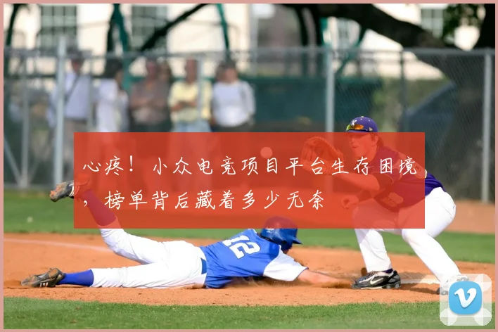 心疼！小众电竞项目平台生存困境，榜单背后藏着多少无奈